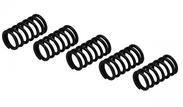 Kawasaki ZZR600 '90-'92 - Kupplungsfeder (Satz)